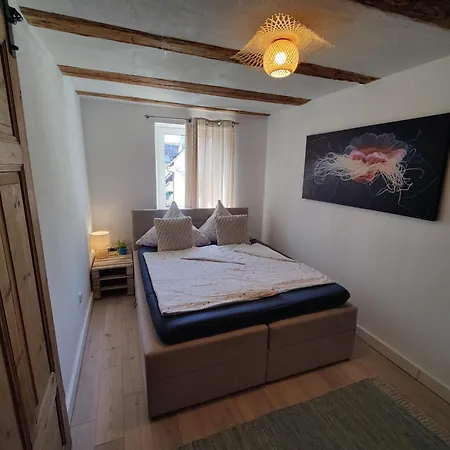 Apartamento Haus Wiese & Lagune Ettenheim