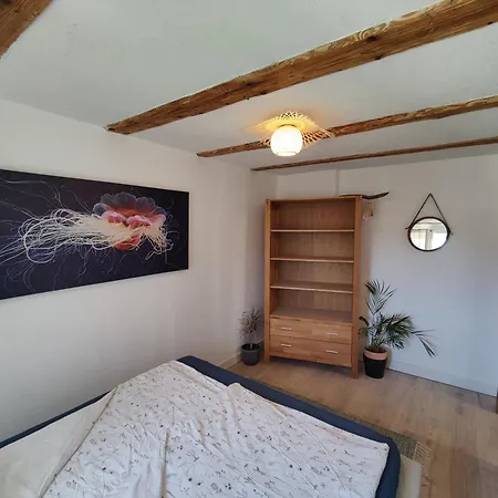 Haus Wiese & Lagune Apartamento Ettenheim